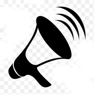 Loa 11 300x300